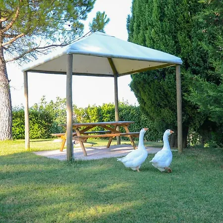 Agriturismo Galanti-3